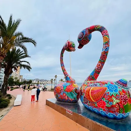 Magic With Swimming Pool *